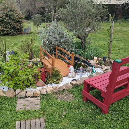 Chambre D'Hote Amitie Et Jardin Carmaux Exteriér fotografie